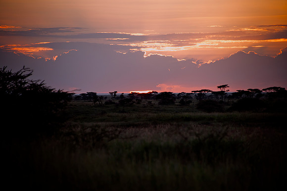 Dawn Tanzania  70