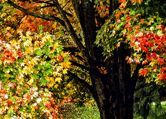 Autumn In New York 2