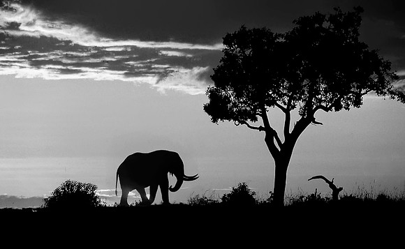 African Sunrise, Kenya 2