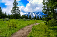 Hiking Toward the Mountain, South Island, New Zealand