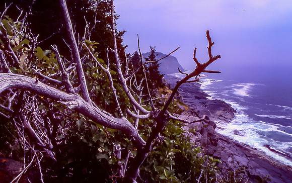 Blackhead, Monhegan Island, Maine 1