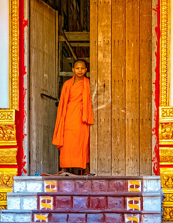 Curious Boy Monk, Cambodia 20