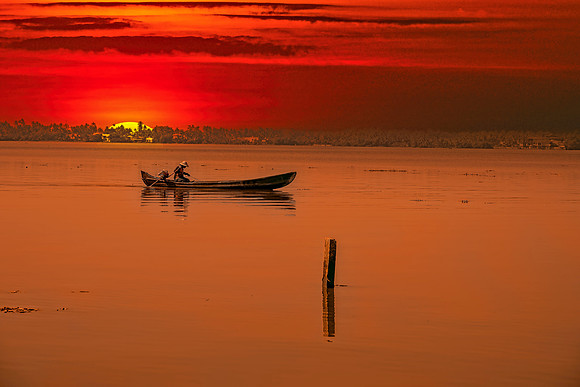 Fishing At Sunset, Kerela, India 3