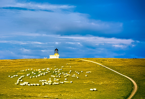 Brough of Birsay Lighthouse Orkney Islands 1925 16