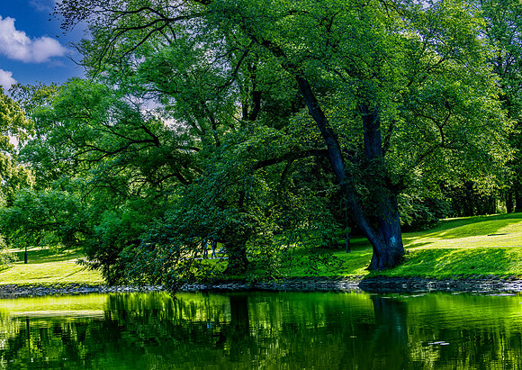 City Park Gothenburg Sweden 2