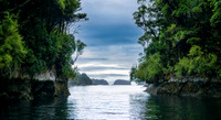 Island Passage New Zealand 1