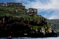 Observing Bird Cliffs From A Zodiak