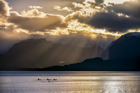 Filtered Light Bering Sea 26