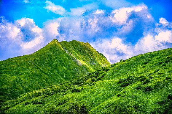 Green Aleutian Island 26
