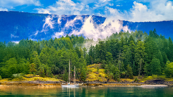 Along the Inside Passage Alaska 26