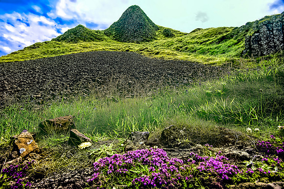 Basalt Fiesta Giants Causeway- 261