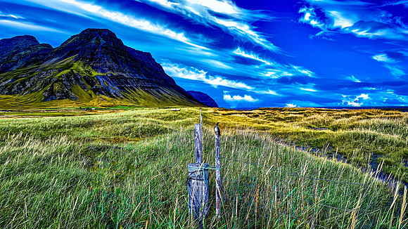 A Fence Runs Through the Dunes Iceland 26