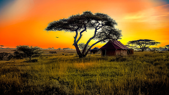 Early Morning At Camp Tanzania 26