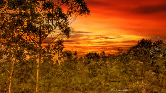 Alpenglow From Norwood Bungalow Ceylon Tea Trails Sri Lanka 26