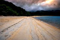 Beach Walker New Zealand  2