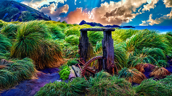 Campbell Island Derelict Machinery New Zealand 26