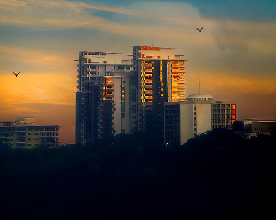 Sunrise Gold Darwin  70