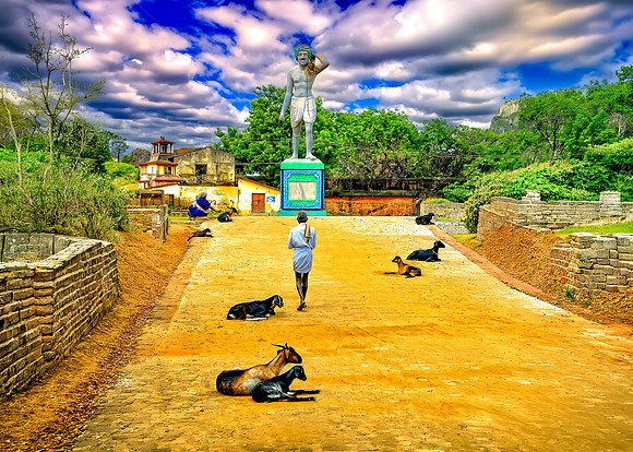 Goats Man and Statue Indian Village 26