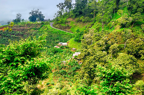 A Road Runs Through Bali Farm Country 26