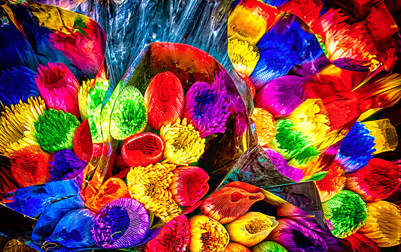 Colors At the Bogota Flower Market 261