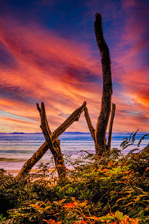 Beach Sculpture Sooke Canada 26