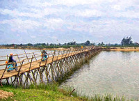 Bamboo Bridge Hue Vietnam  2