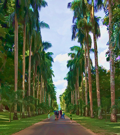 Avenue Of the King Palms Kandy Sri Lanka   6