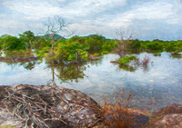 A Lake In Yala National Park Sri Lanka  2