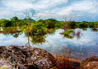 A Lake In Yala National Park Sri Lanka  6