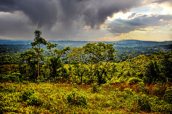 Looking Out Over the Escarpment Belize 85