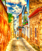 Back Street Seville 16